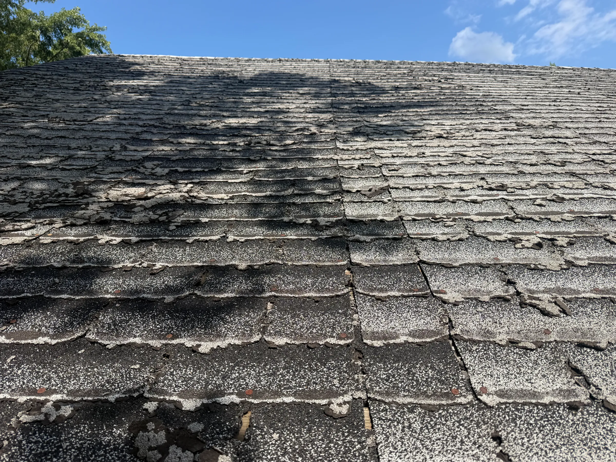 Wide view of home exterior showing completed structural repairs with new siding installation, proper window flashing, and seamless transition to existing exterior materials and color palette.